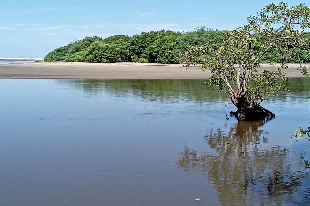 Photo of Others in Poneloya