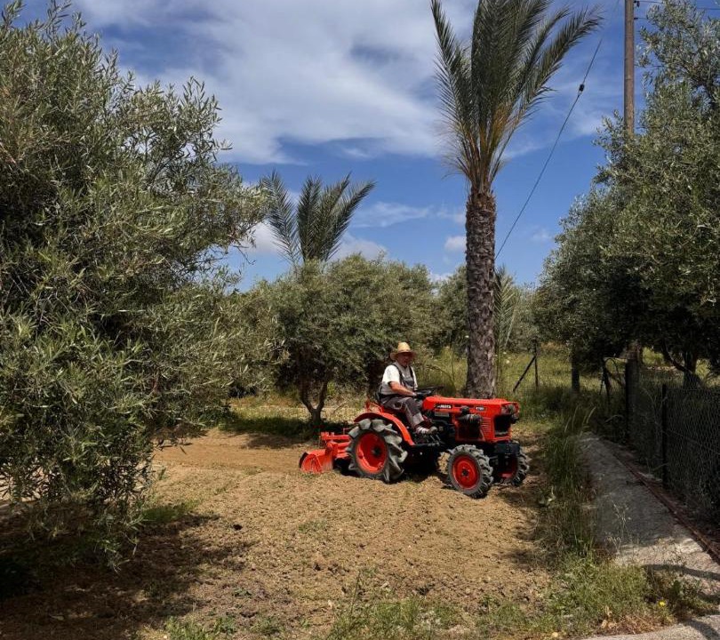 Photo of Others in Pano Arodhes