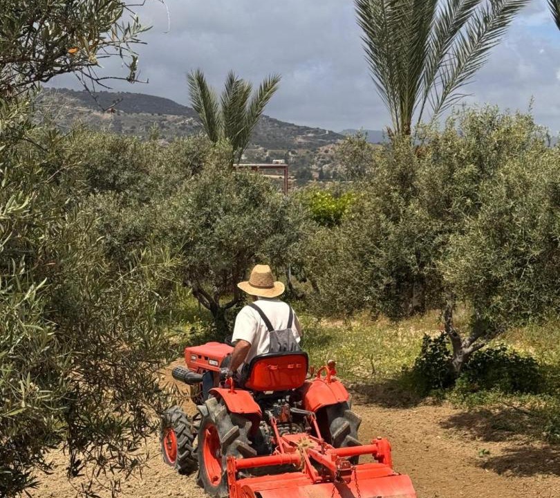 Photo of Others in Pano Arodhes