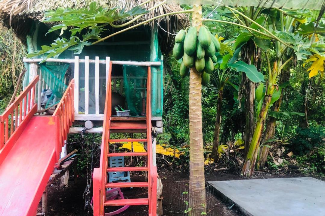 Photo of Others in Ometepe Island