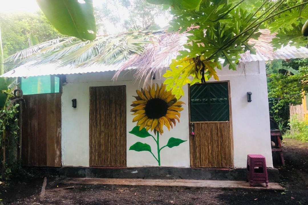 Photo of Others in Ometepe Island