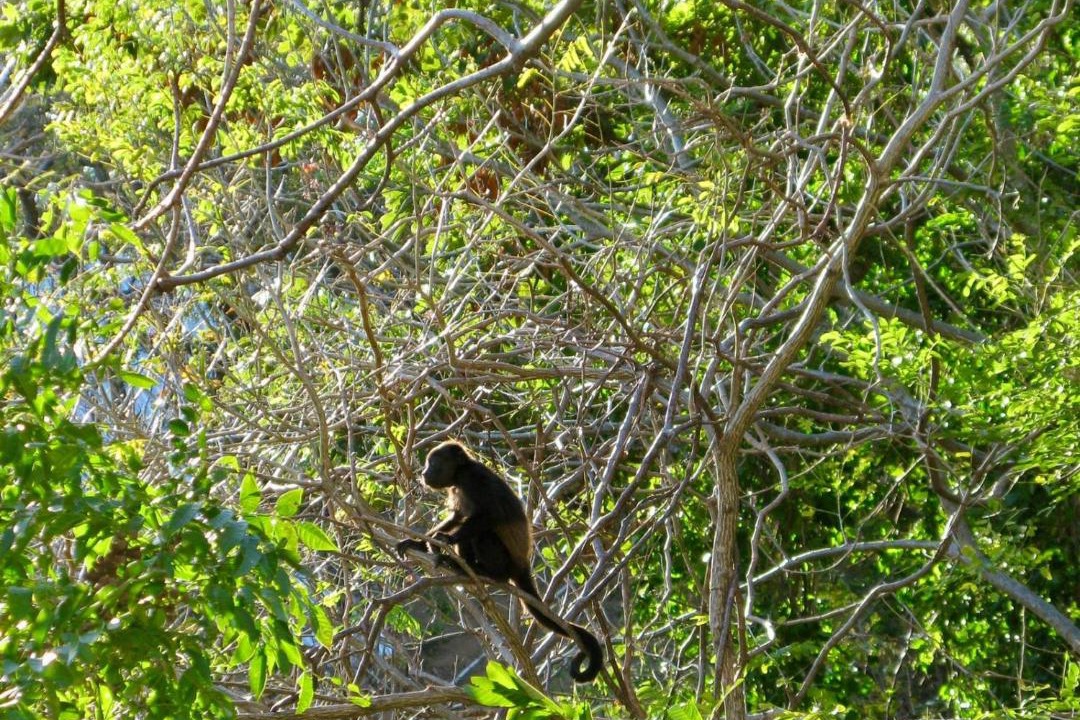 Photo of Others in San Juan del Sur