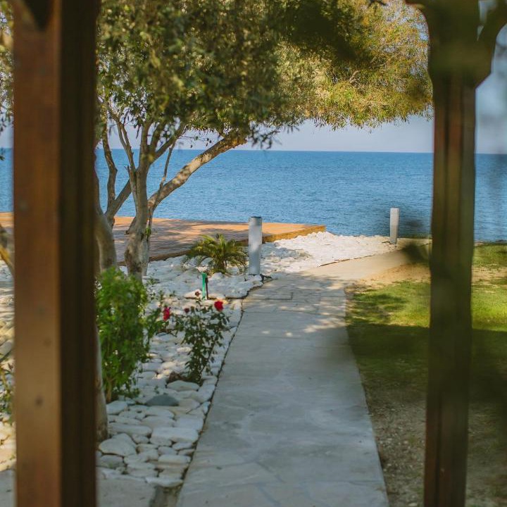 Photo of Others in Agios Theodoros