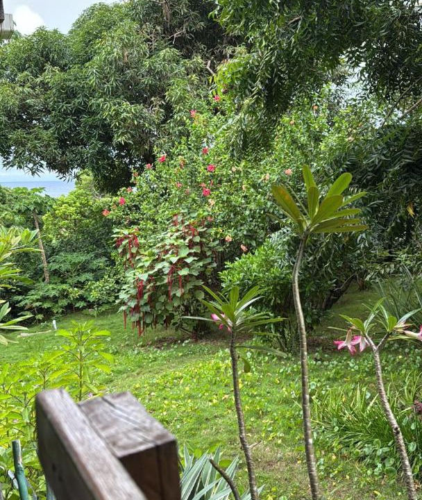 Photo of Others in Little Corn Island