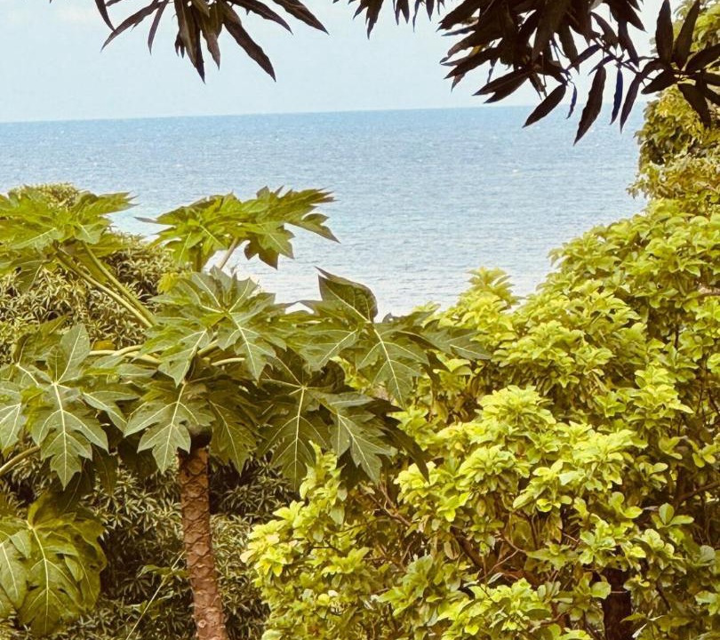 Photo of Others in Little Corn Island