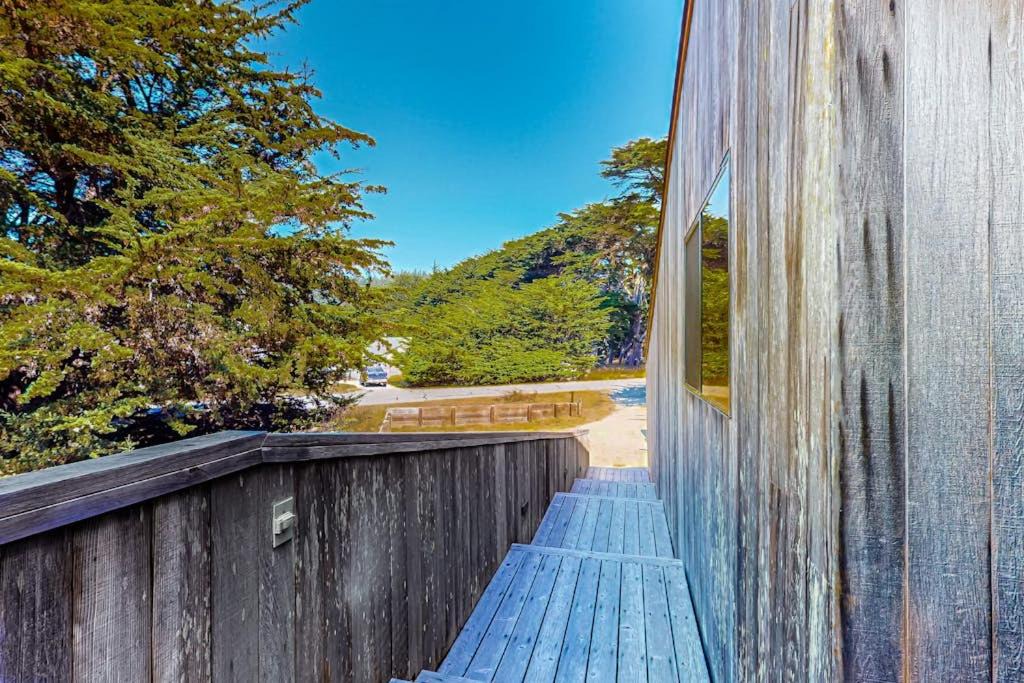 Photo of Others in Sea Ranch