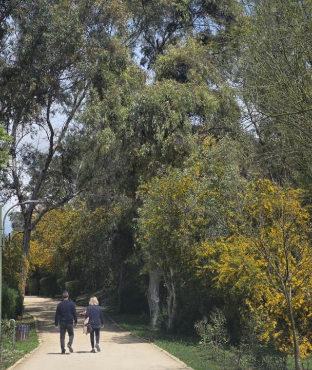 Photo of Others in Nicosia