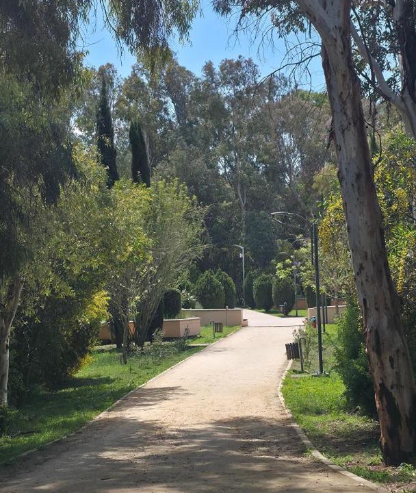 Photo of Others in Nicosia