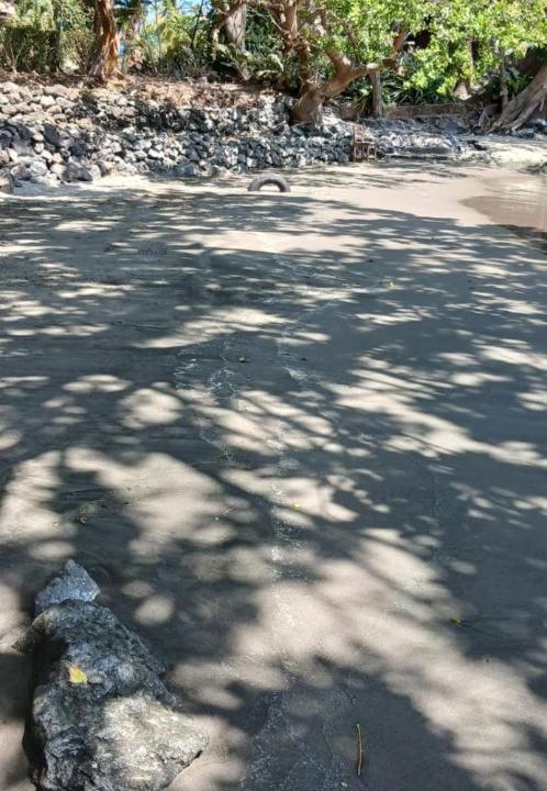 Photo of Others in Ometepe Island