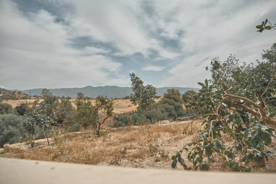 Photo of Others in Pareklisia