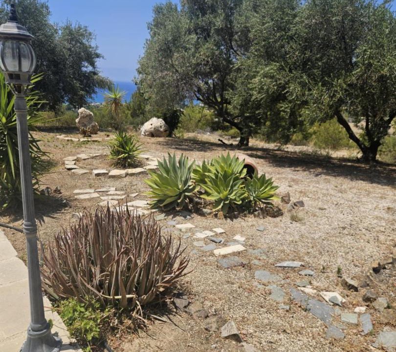 Photo of Others in Ayia Marina Chrysochous
