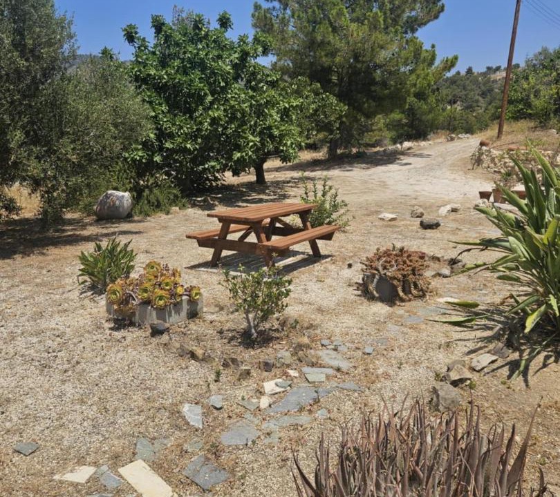 Photo of Others in Ayia Marina Chrysochous