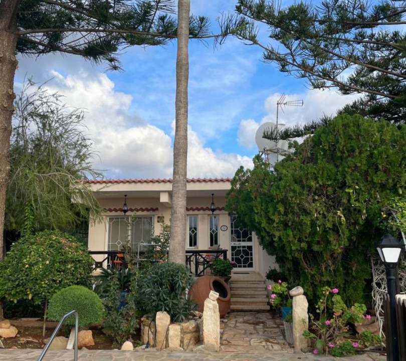 Photo of Others in Pegeia
