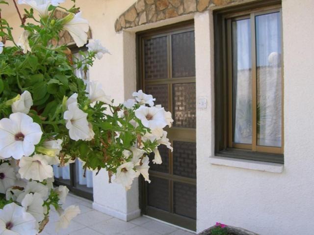 Photo of Others in Pervolia