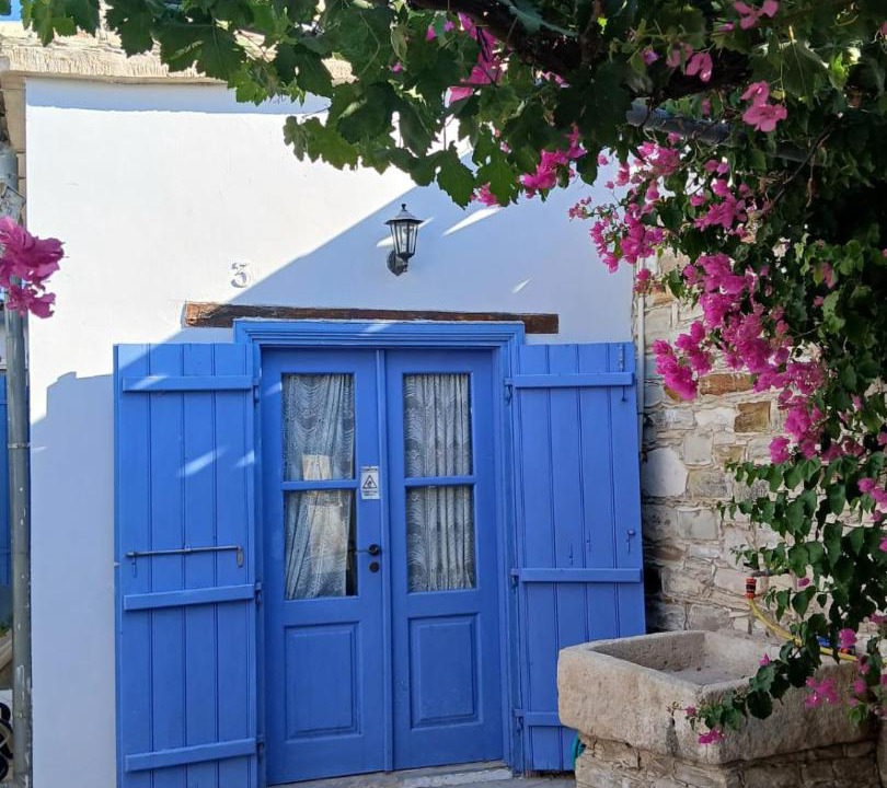 Photo of Others in Skarinou
