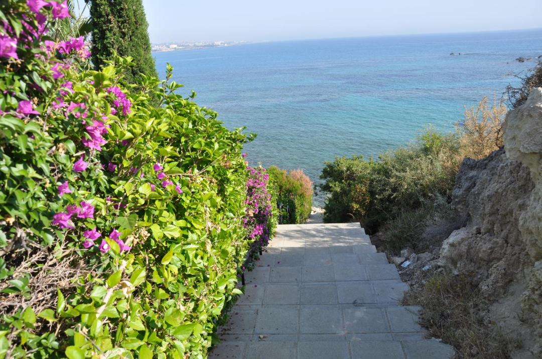 Photo of Outdoor in Pegeia