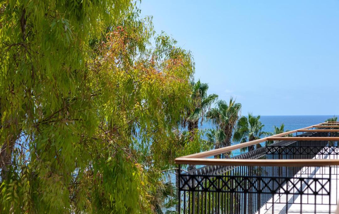 Photo of Others in Paphos