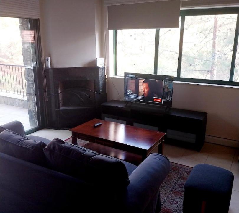 Photo of Livingroom in Platres