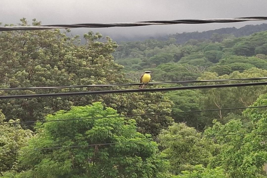 Photo of Others in Matagalpa