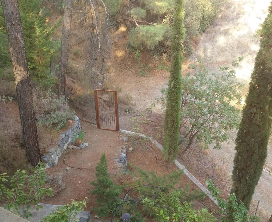 Photo of Others in Platres