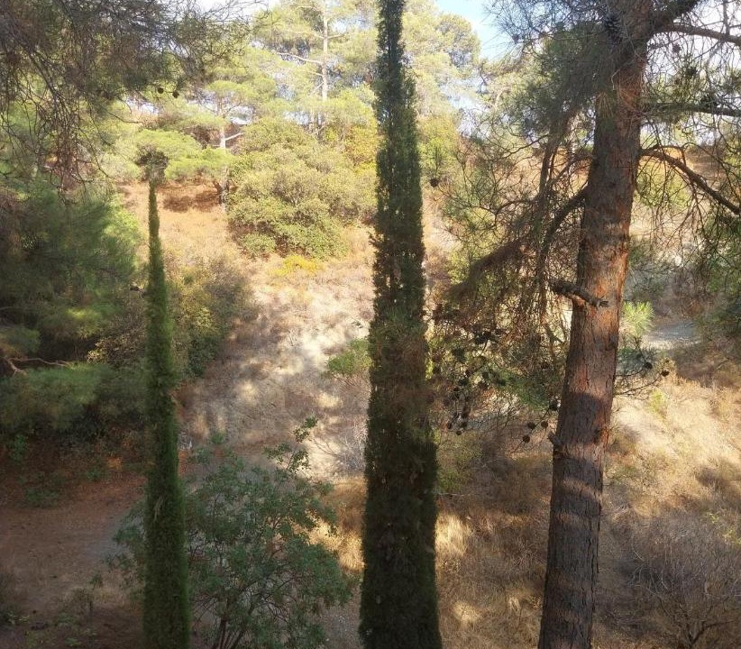 Photo of Others in Platres