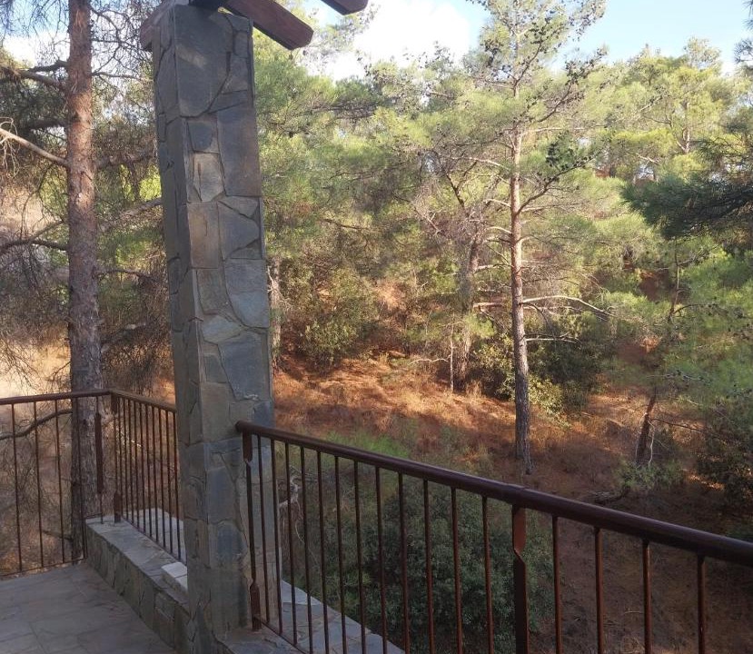 Photo of Others in Platres