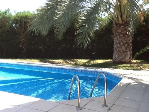Photo of Outdoor in Pissouri