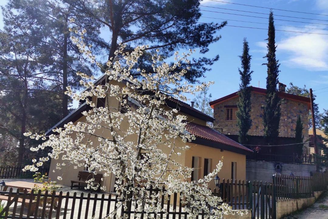 Photo of Others in Platres