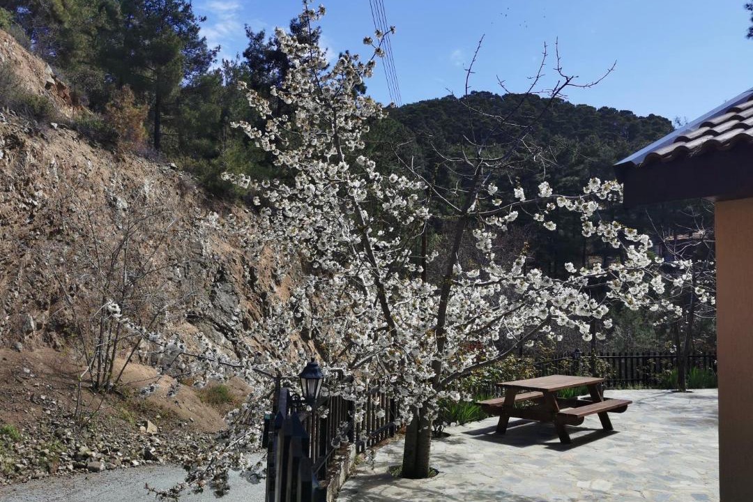 Photo of Outdoor in Platres