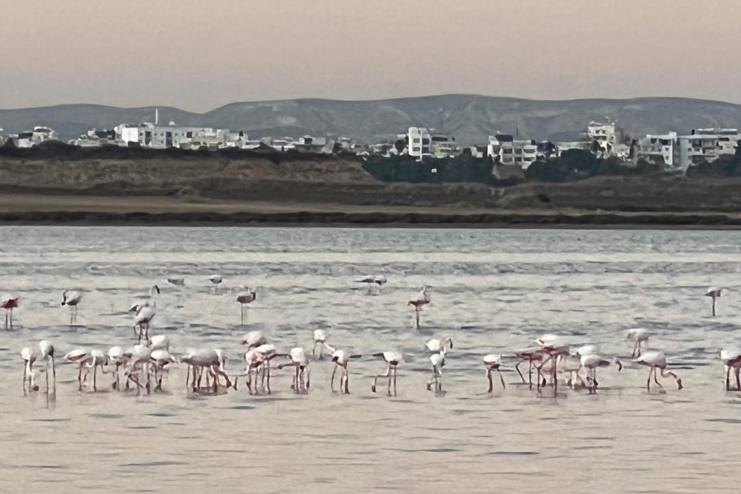 Photo of Others in Skala