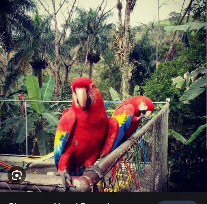 Photo of Others in Matagalpa