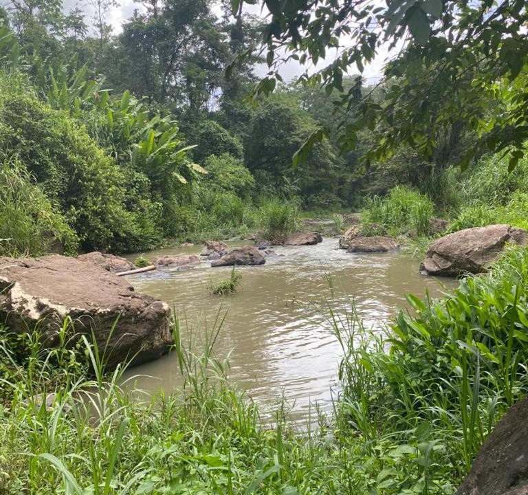 Photo of Others in Matagalpa