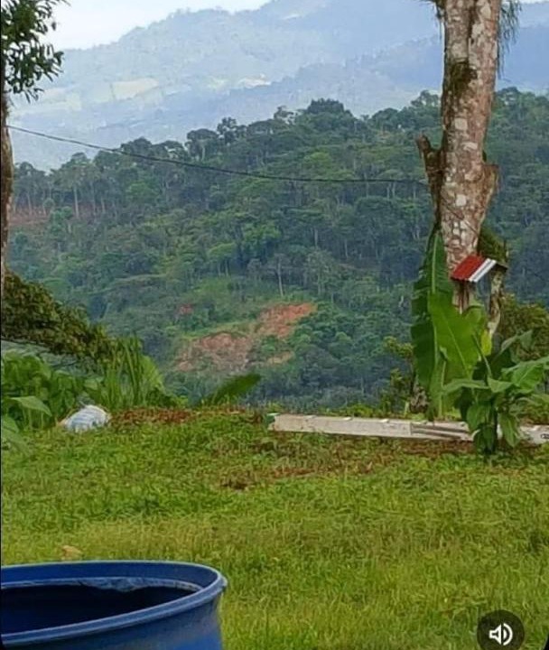 Photo of Others in Matagalpa