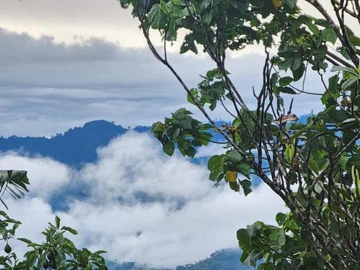 Photo of Others in Matagalpa