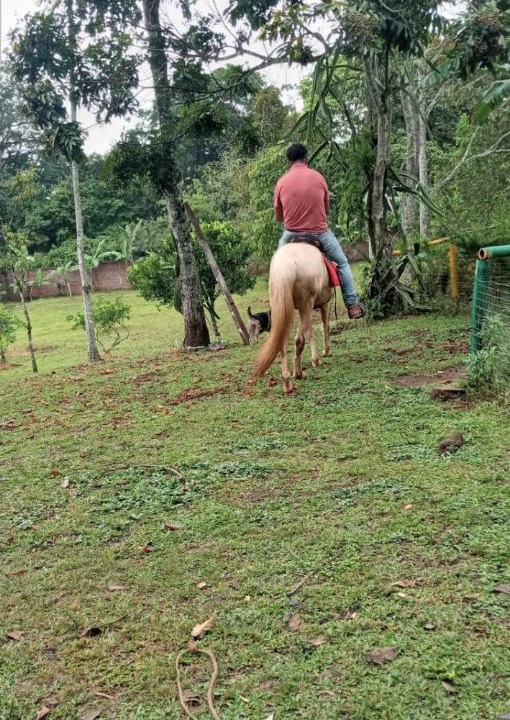 Photo of Others in Matagalpa