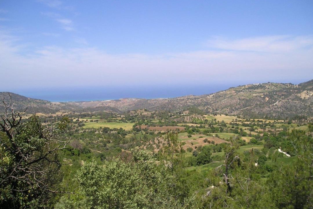 Photo of Others in Lysos