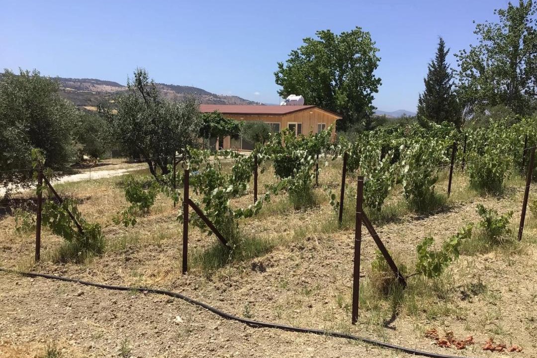 Photo of Others in Pano Arodhes