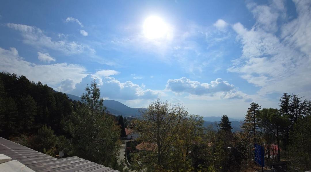 Photo of Others in Prodromos