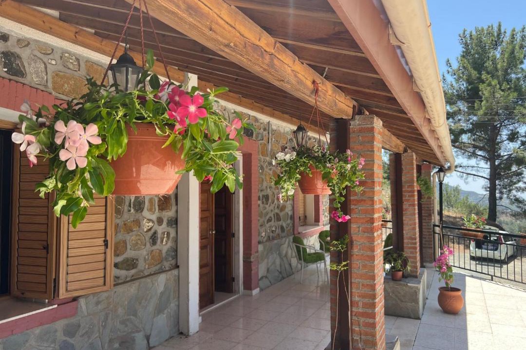 Photo of Others in Platres