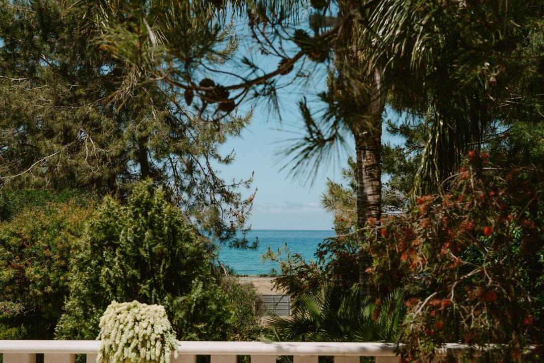 Photo of Others in Paphos