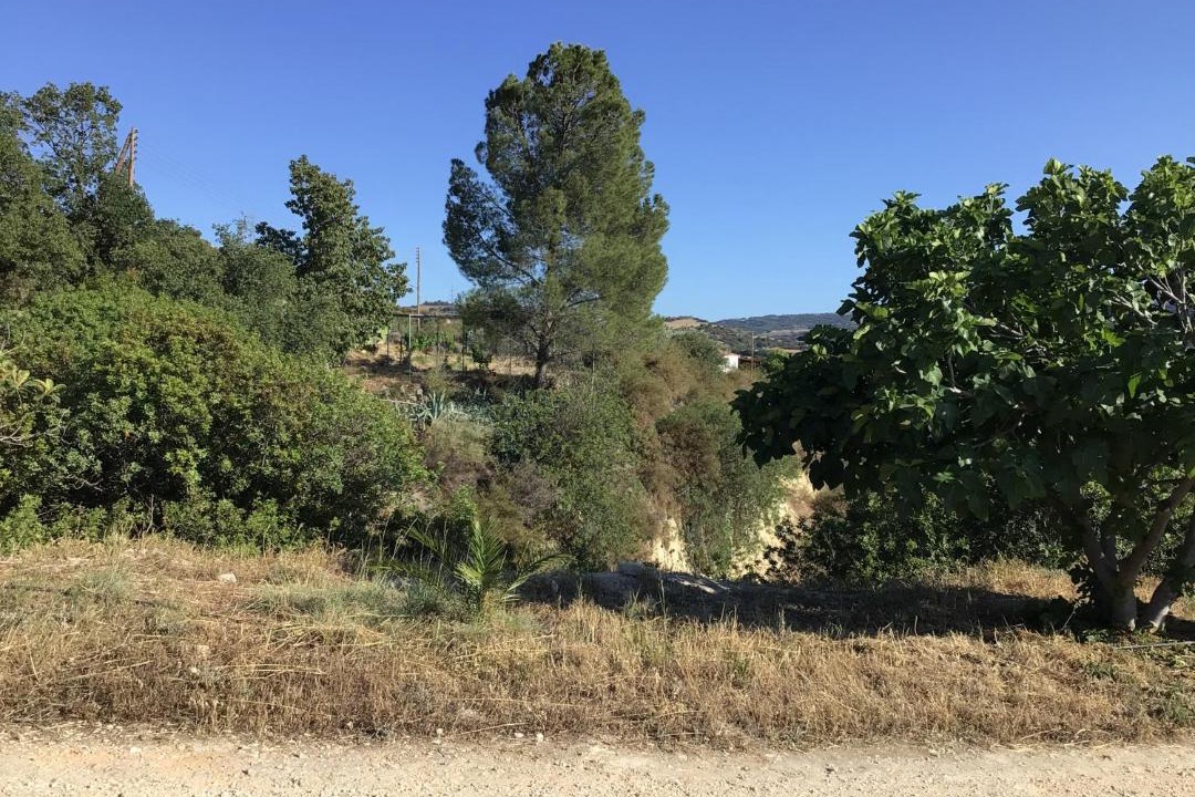 Photo of Others in Pano Arodhes