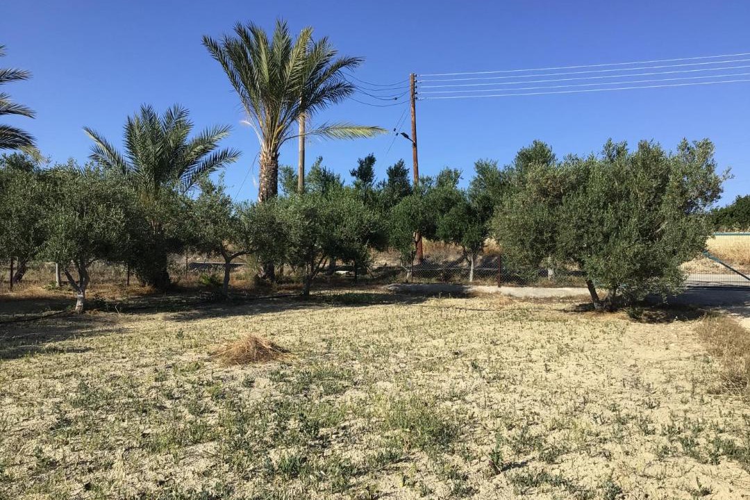 Photo of Others in Pano Arodhes