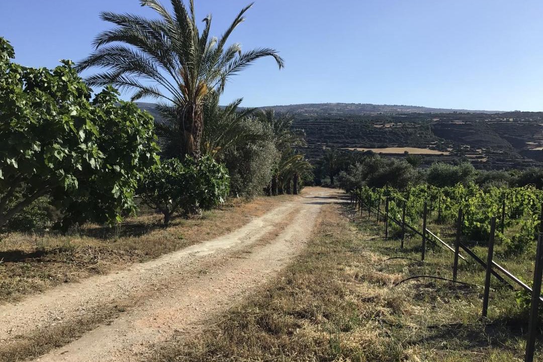 Photo of Others in Pano Arodhes