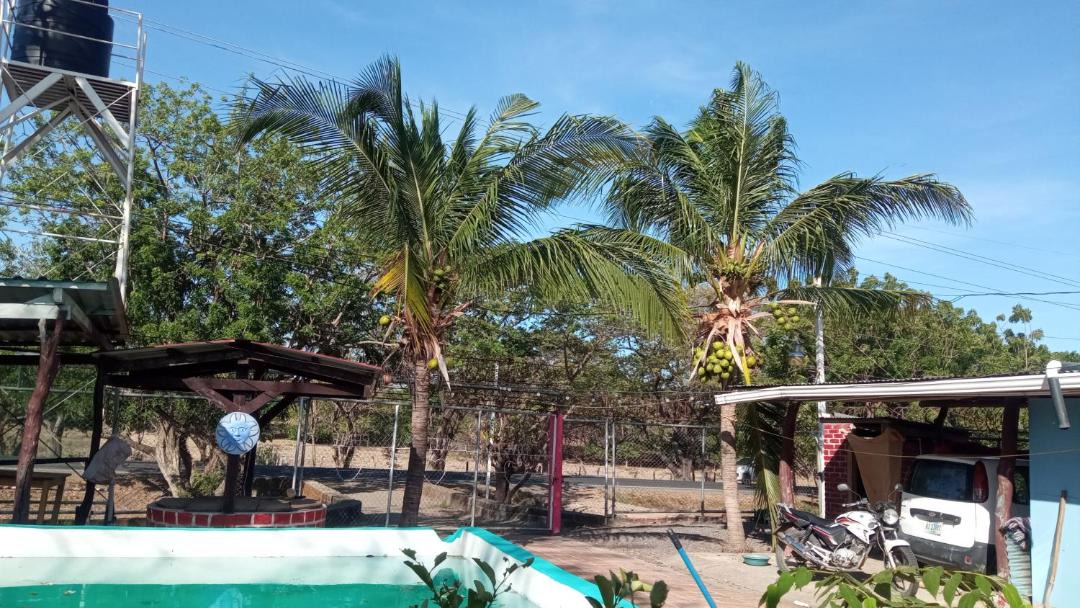 Photo of Others in La Virgen
