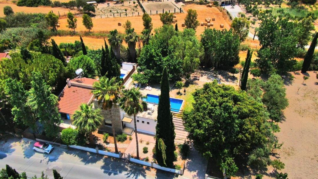 Photo of Others in Pissouri