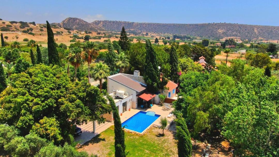 Photo of Others in Pissouri