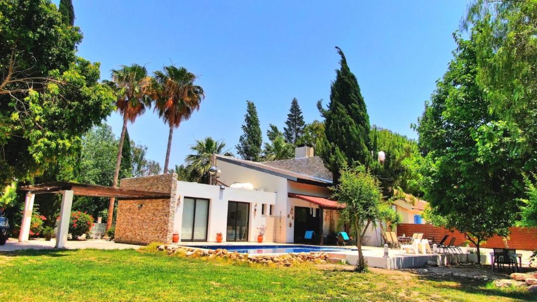 Photo of Others in Pissouri