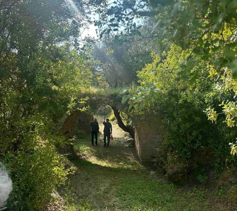 Photo of Others in Amargeti