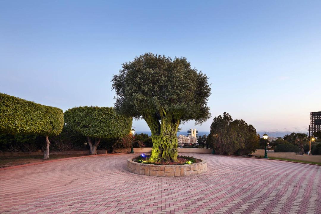 Photo of Outdoor in Agios Tychon