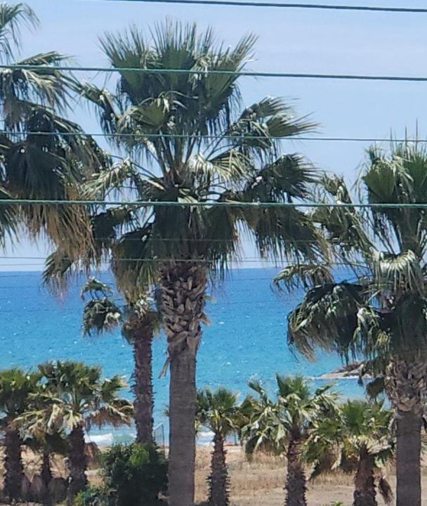 Photo of Others in Pyla